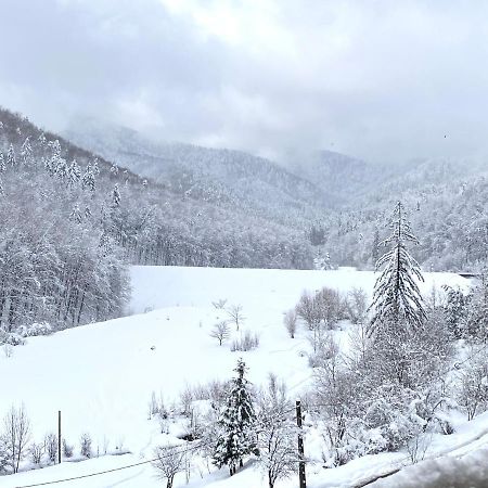 Nature View Apartment 브라쇼브 외부 사진