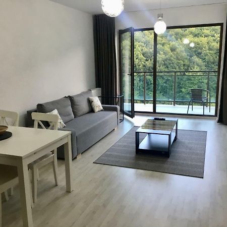 Nature View Apartment 브라쇼브 외부 사진