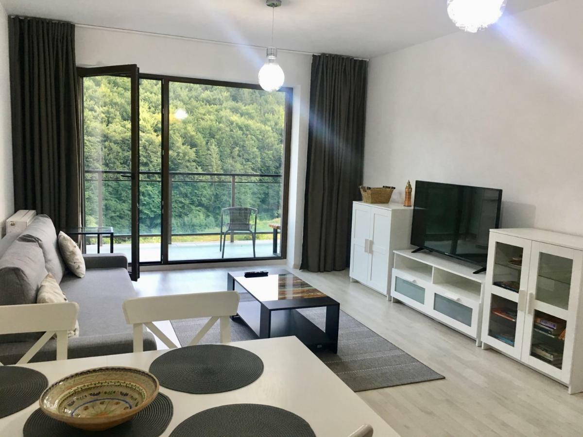 Nature View Apartment 브라쇼브 외부 사진