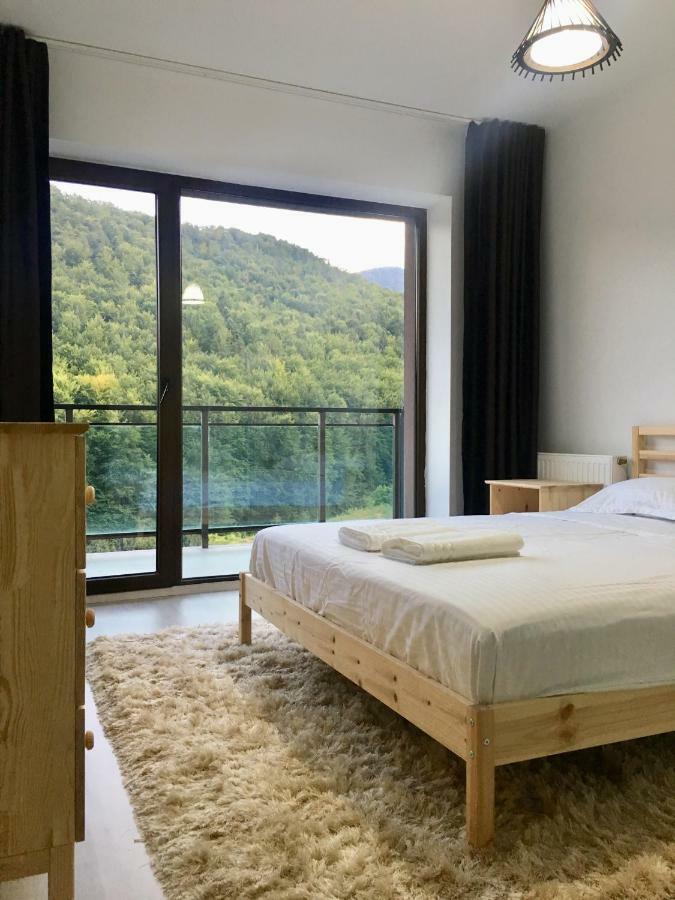 Nature View Apartment 브라쇼브 외부 사진