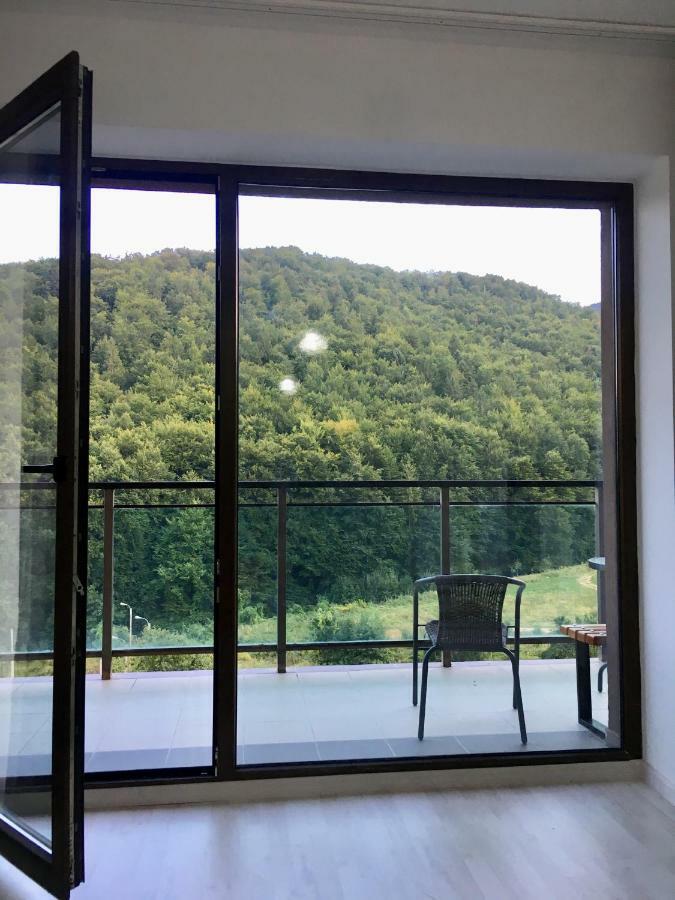 Nature View Apartment 브라쇼브 외부 사진