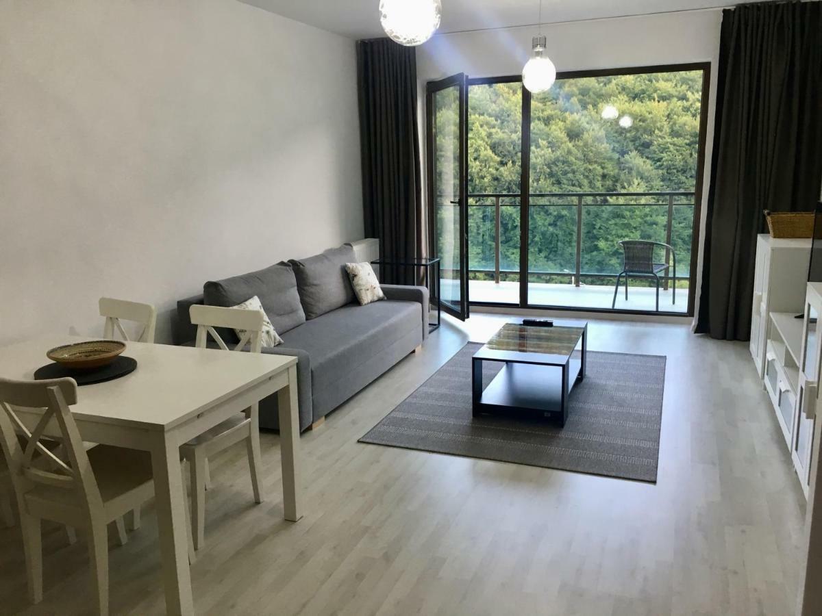 Nature View Apartment 브라쇼브 외부 사진