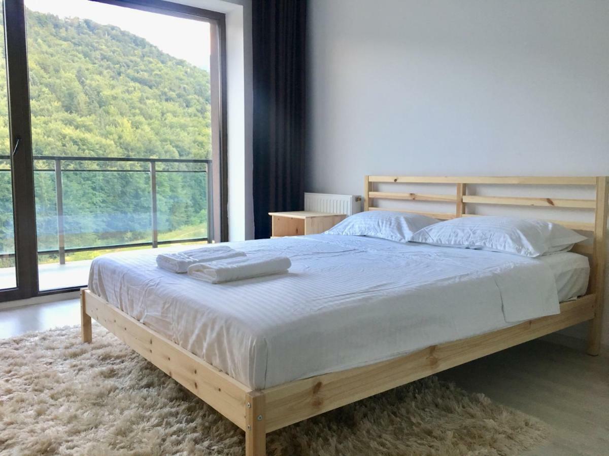 Nature View Apartment 브라쇼브 외부 사진