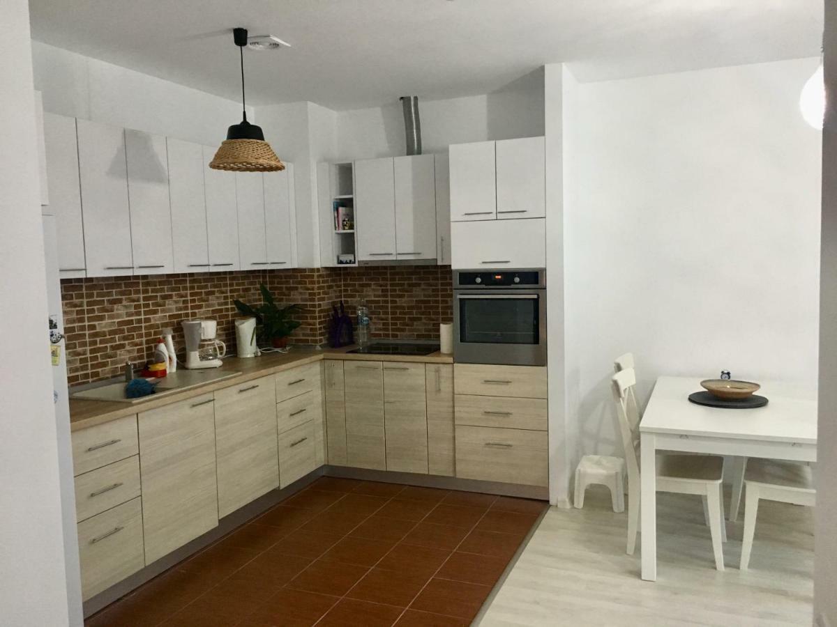 Nature View Apartment 브라쇼브 외부 사진