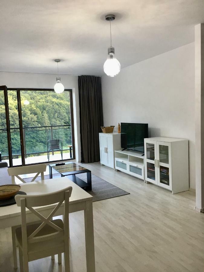 Nature View Apartment 브라쇼브 외부 사진