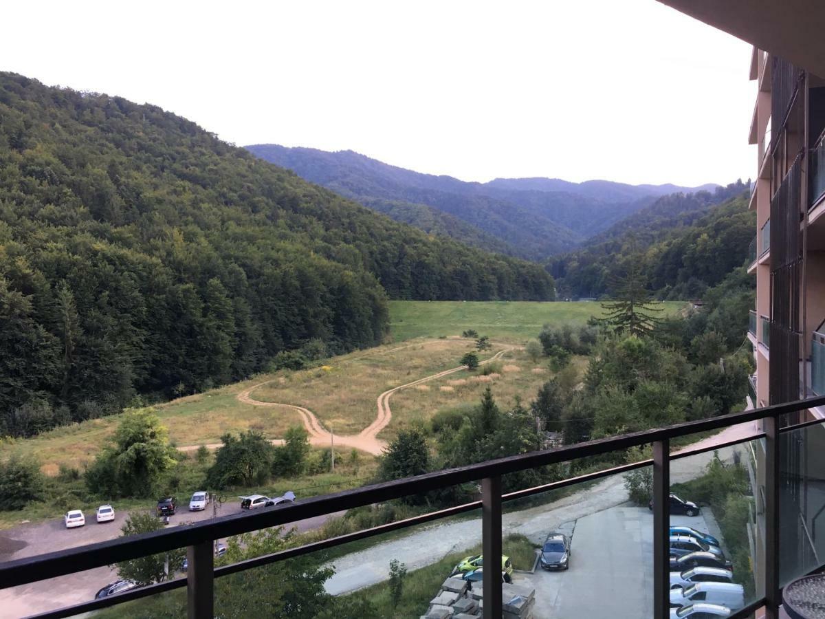 Nature View Apartment 브라쇼브 외부 사진