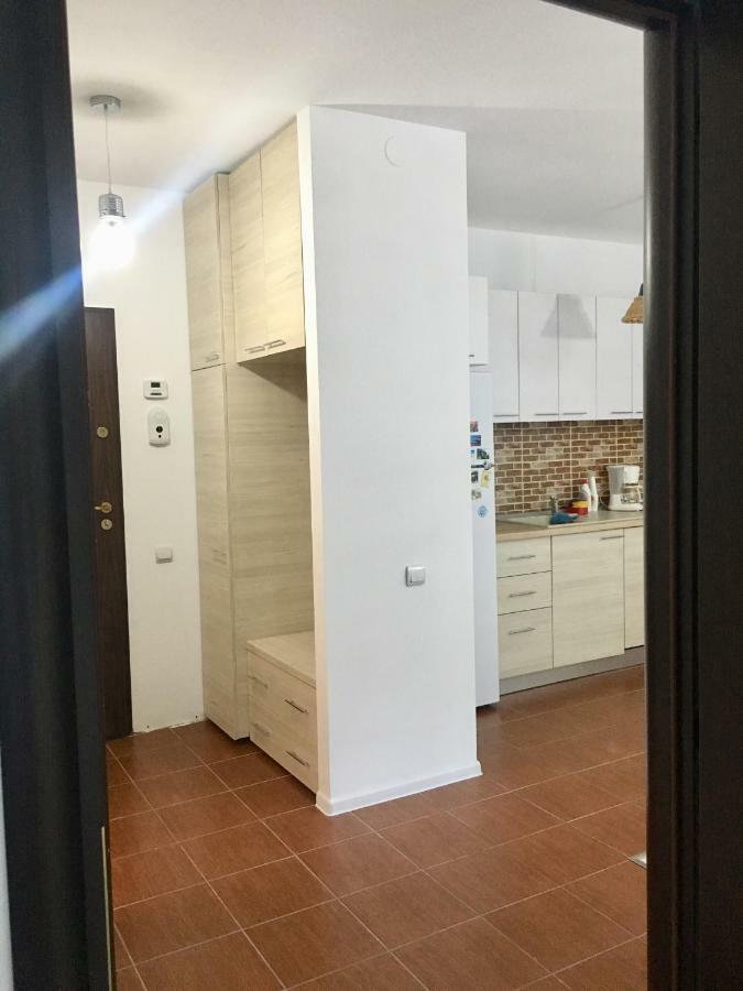 Nature View Apartment 브라쇼브 외부 사진